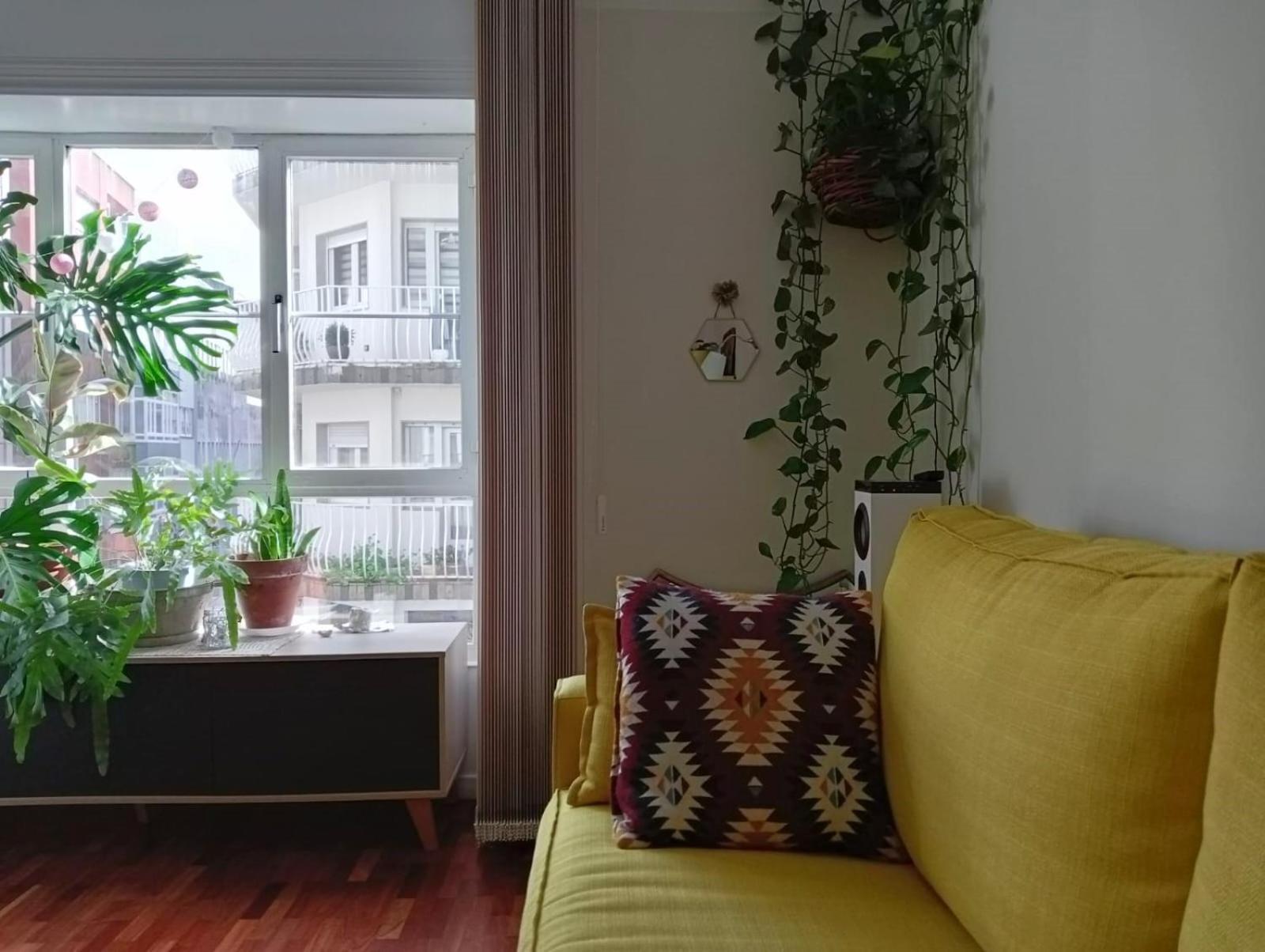 Apartament La Maceta Vilagarcia de Arousa Zewnętrze zdjęcie
