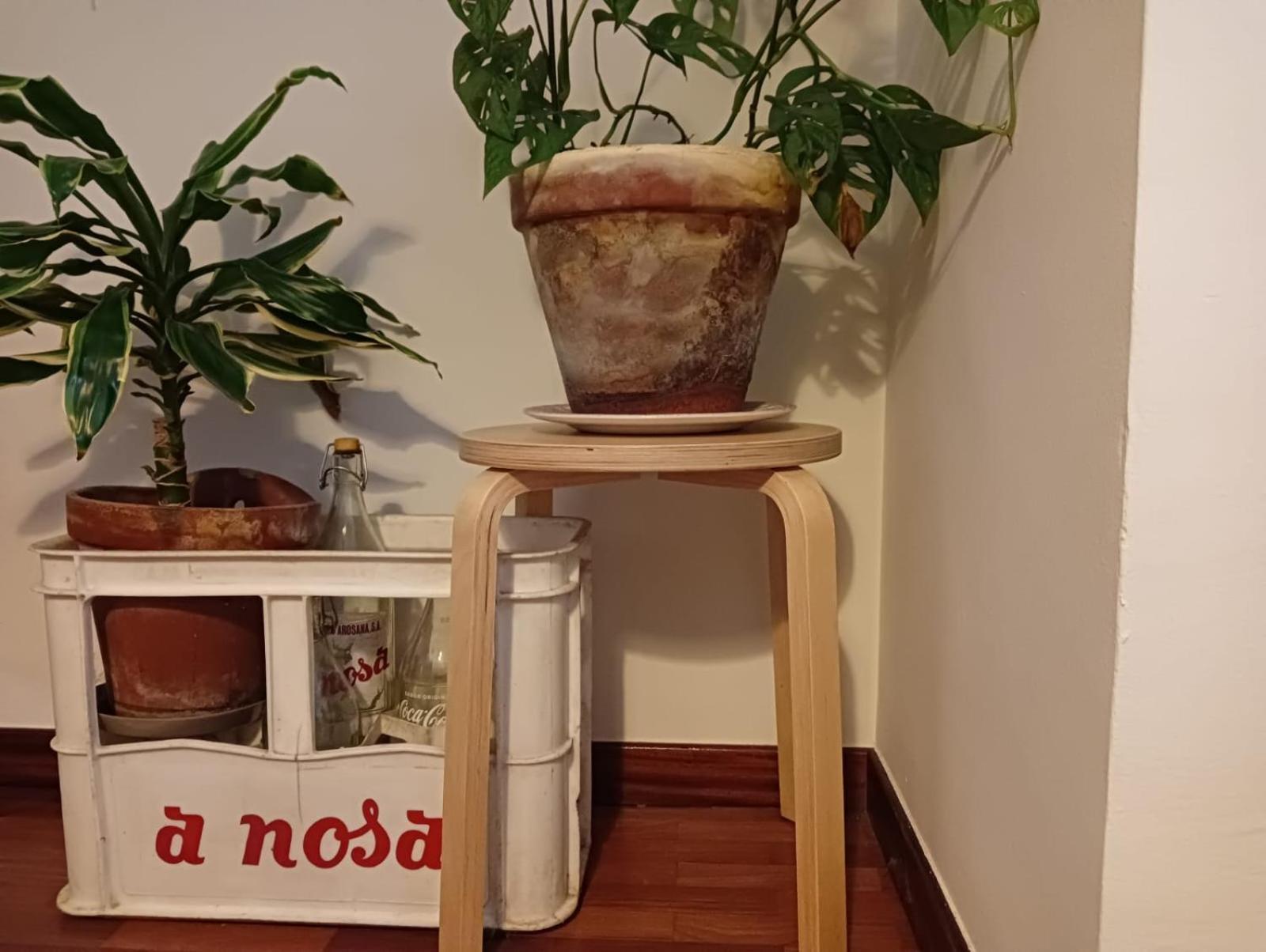 Apartament La Maceta Vilagarcia de Arousa Zewnętrze zdjęcie