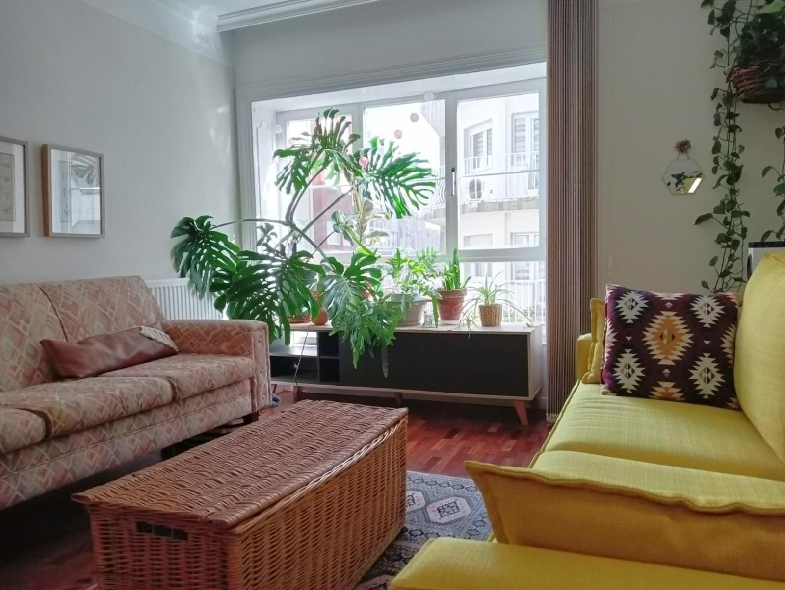 Apartament La Maceta Vilagarcia de Arousa Zewnętrze zdjęcie